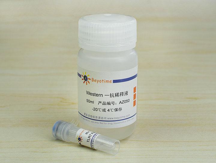 TLR7 Rabbit Polyclonal Antibody